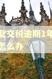 企业交税逾期1年多了怎么办 企业交税逾期1年多了怎么办