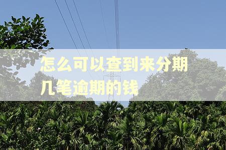怎么可以查到来分期几笔逾期的钱