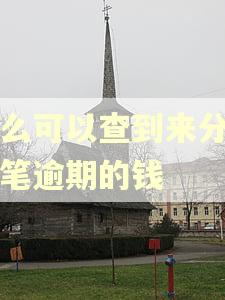 怎么可以查到来分期几笔逾期的钱
