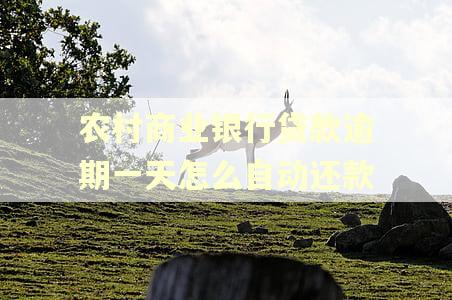 农村商业银行贷款逾期一天怎么自动还款