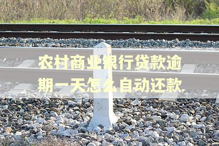 农村商业银行贷款逾期一天怎么自动还款