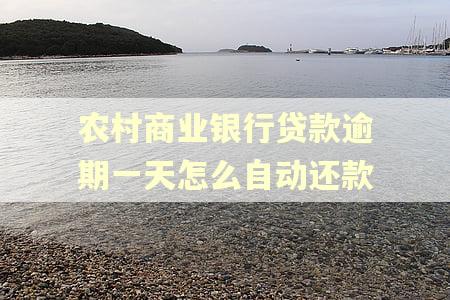 农村商业银行贷款逾期一天怎么自动还款