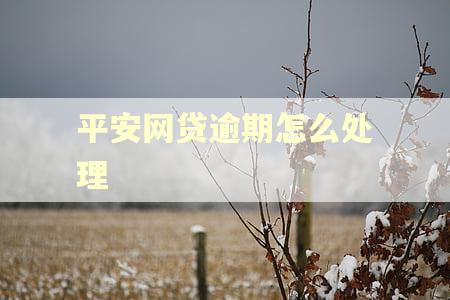 平安网贷逾期怎么处理