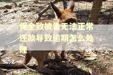 保全致被告无法正常还款导致逾期怎么处理