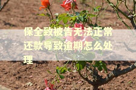 保全致被告无法正常还款导致逾期怎么处理