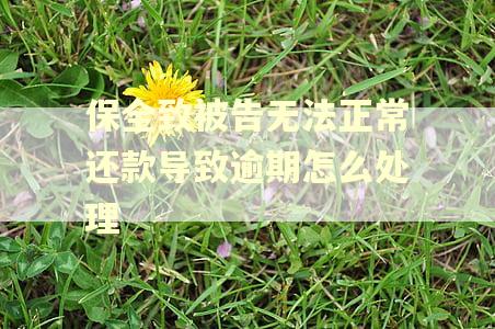 保全致被告无法正常还款导致逾期怎么处理