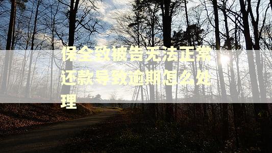 保全致被告无法正常还款导致逾期怎么处理