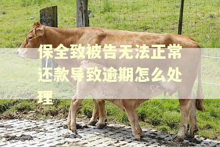 保全致被告无法正常还款导致逾期怎么处理 保全致被告无法正常还款导致逾期怎么处理