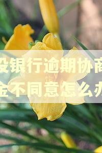 建设银行逾期协商还本金不同意怎么办