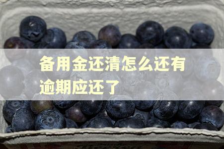 备用金还清怎么还有逾期应还了 备用金还清怎么还有逾期应还了