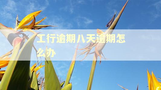 工行逾期八天逾期怎么办