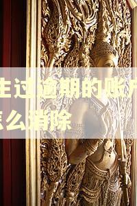 发生过逾期的账户数1怎么消除