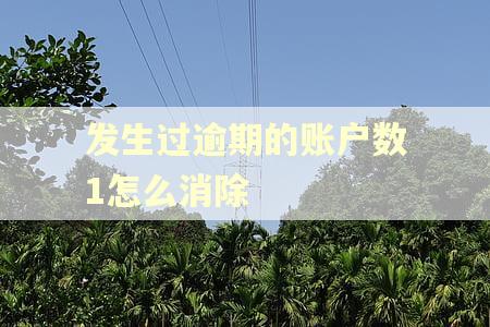 发生过逾期的账户数1怎么消除