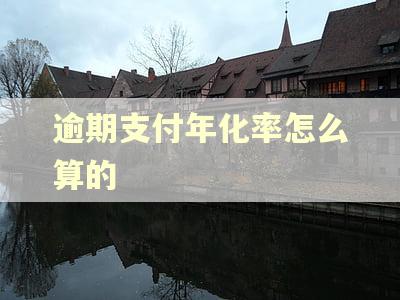 逾期支付年化率怎么算的