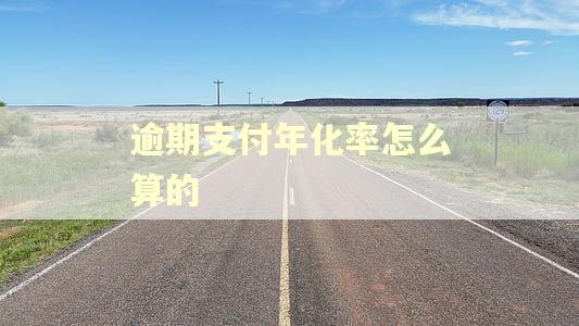 逾期支付年化率怎么算的