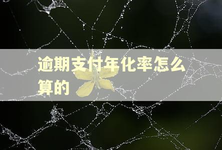 逾期支付年化率怎么算的