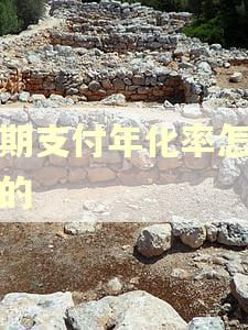 逾期支付年化率怎么算的 逾期支付年化率怎么算的