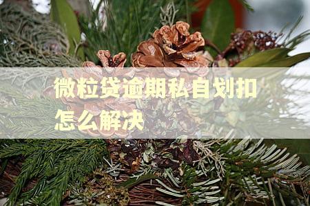 微粒贷逾期私自划扣怎么解决