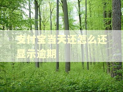 支付宝当天还怎么还显示逾期