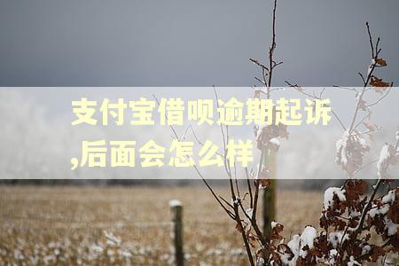 支付宝借呗逾期起诉,后面会怎么样