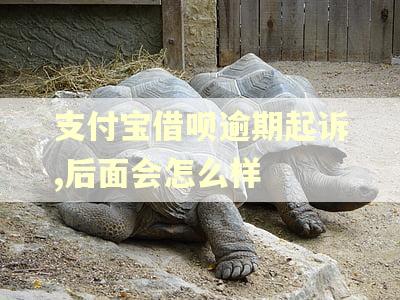 支付宝借呗逾期起诉,后面会怎么样