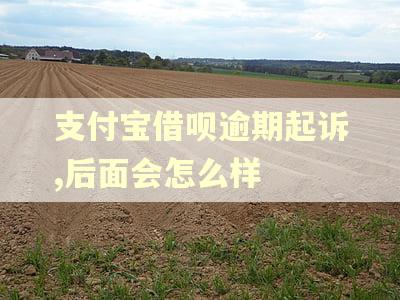 支付宝借呗逾期起诉,后面会怎么样 支付宝借呗逾期起诉,后面会怎么样