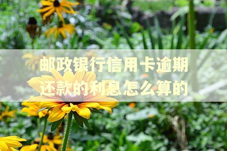 邮政银行信用卡逾期还款的利息怎么算的