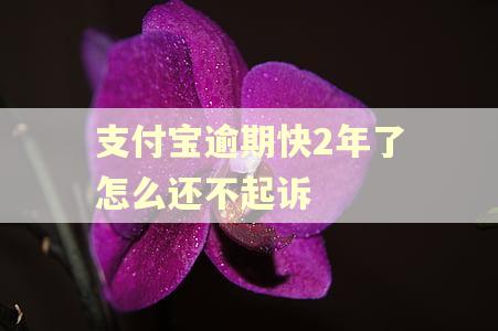 支付宝逾期快2年了怎么还不起诉