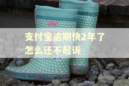 支付宝逾期快2年了怎么还不起诉