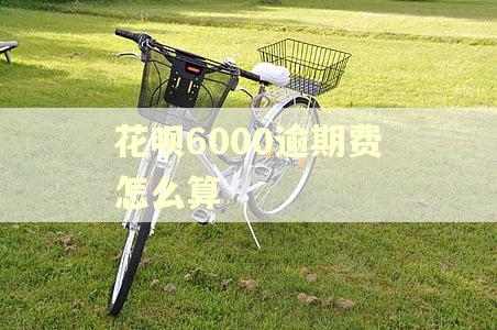 花呗6000逾期费怎么算
