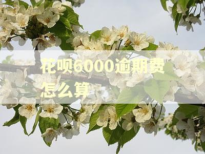 花呗6000逾期费怎么算 花呗6000逾期费怎么算