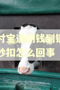 支付宝逾期钱到银行卡秒扣怎么回事 支付宝逾期钱到银行卡秒扣怎么回事