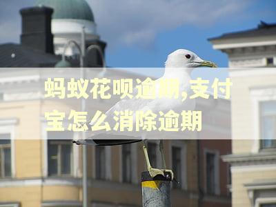 蚂蚁花呗逾期,支付宝怎么消除逾期
