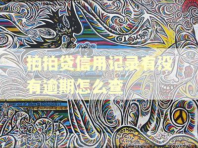拍拍贷信用记录有没有逾期怎么查