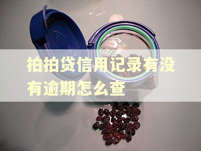 拍拍贷信用记录有没有逾期怎么查 拍拍贷信用记录有没有逾期怎么查
