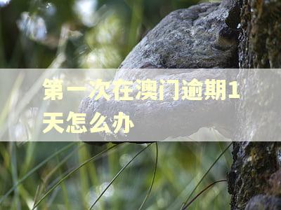 第一次在澳门逾期1天怎么办