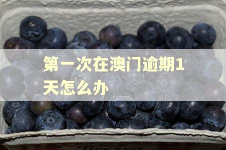 第一次在澳门逾期1天怎么办 第一次在澳门逾期1天怎么办
