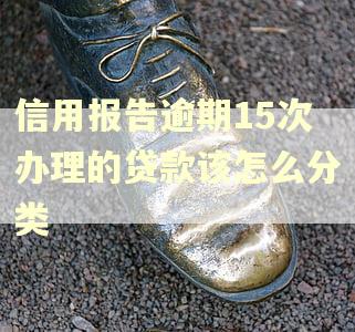 信用报告逾期15次办理的贷款该怎么分类