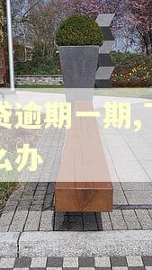 网贷逾期一期,下期怎么办