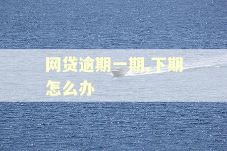网贷逾期一期,下期怎么办