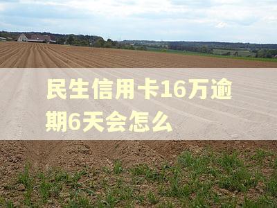 民生信用卡16万逾期6天会怎么