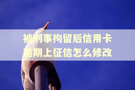 被刑事拘留后信用卡逾期上征信怎么修改