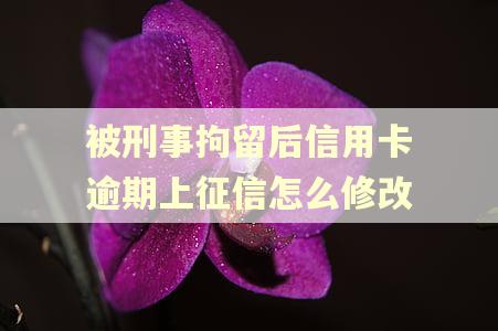 被刑事拘留后信用卡逾期上征信怎么修改