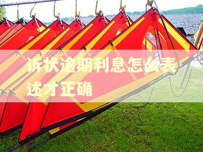 诉状逾期利息怎么表述才正确 诉状逾期利息怎么表述才正确
