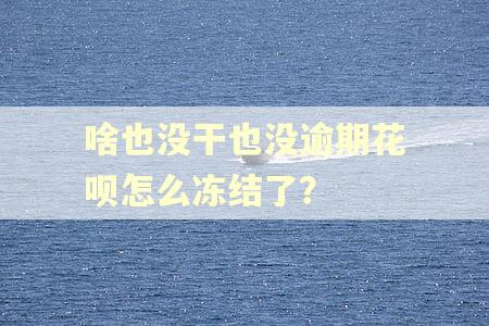 啥也没干也没逾期花呗怎么冻结了？