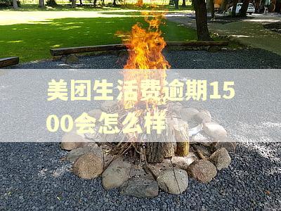 美团生活费逾期1500会怎么样