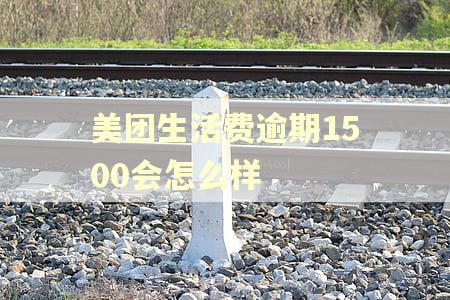 美团生活费逾期1500会怎么样