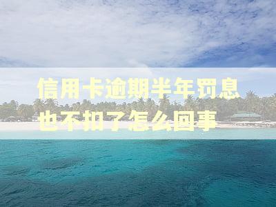 信用卡逾期半年罚息也不扣了怎么回事