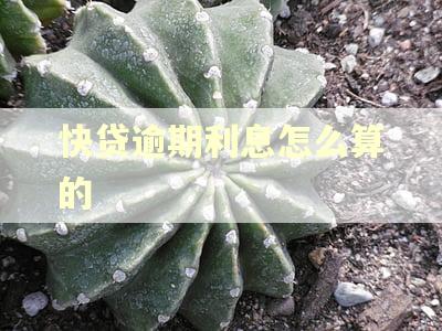 快贷逾期利息怎么算的