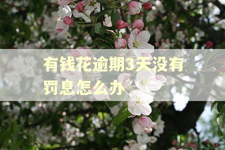 有钱花逾期3天没有罚息怎么办